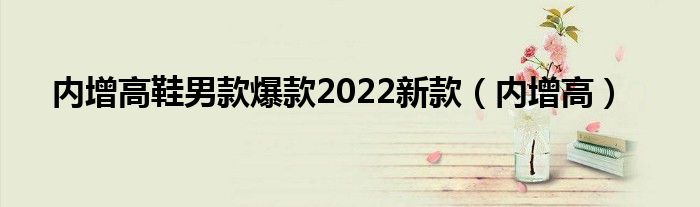 内增高鞋男款爆款2022新款（内增高）