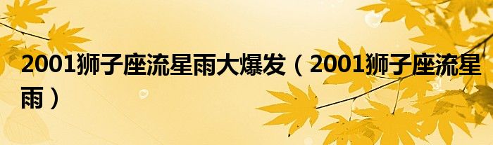 2001狮子座流星雨大爆发（2001狮子座流星雨）