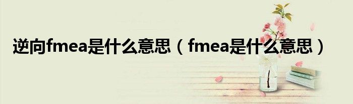 逆向fmea是什么意思（fmea是什么意思）