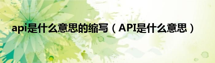 api是什么意思的缩写（API是什么意思）