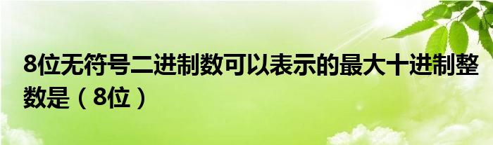 8位无符号二进制数可以表示的最大十进制整数是（8位）