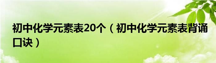 初中化学元素表20个（初中化学元素表背诵口诀）