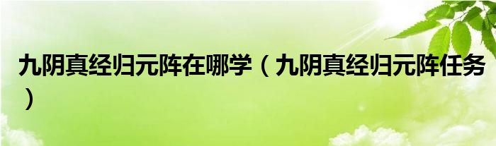 九阴真经归元阵在哪学（九阴真经归元阵任务）