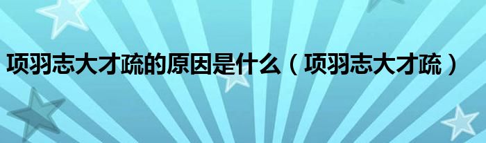 项羽志大才疏的原因是什么（项羽志大才疏）