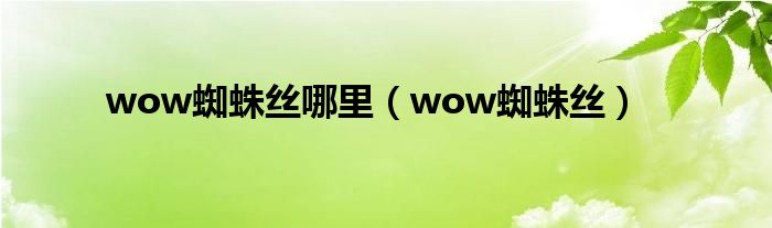 wow蜘蛛丝哪里（wow蜘蛛丝）