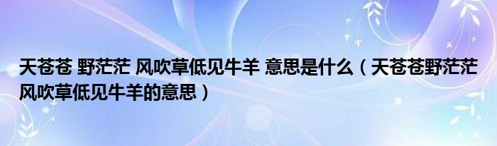 天苍苍 野茫茫 风吹草低见牛羊 意思是什么（天苍苍野茫茫风吹草低见牛羊的意思）