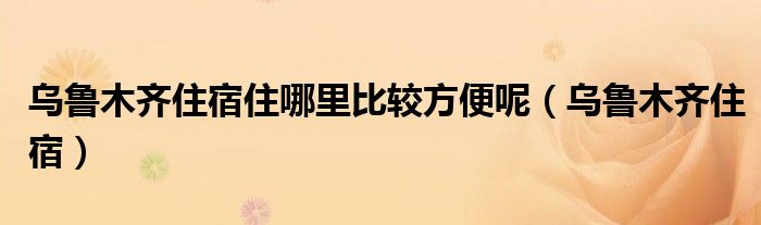 乌鲁木齐住宿住哪里比较方便呢（乌鲁木齐住宿）