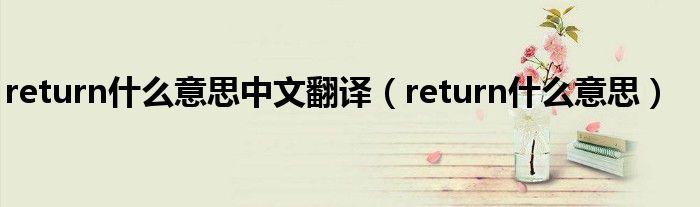 return什么意思中文翻译（return什么意思）