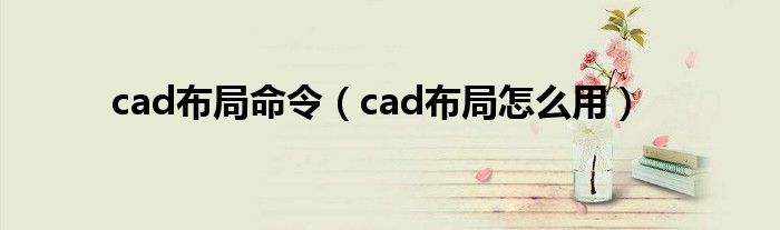 cad布局命令（cad布局怎么用）