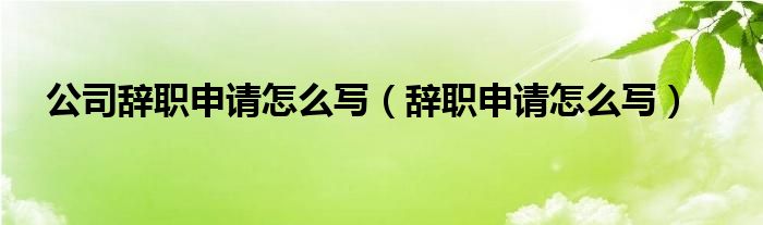 公司辞职申请怎么写（辞职申请怎么写）