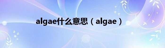 algae什么意思（algae）