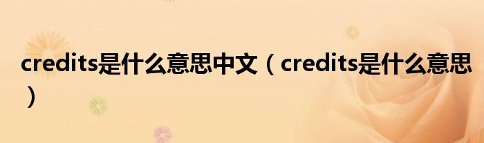 credits是什么意思中文（credits是什么意思）