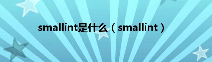 smallint是什么（smallint）