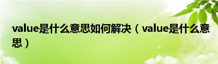 value是什么意思如何解决（value是什么意思）