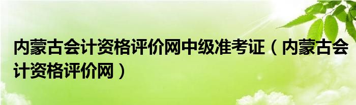 内蒙古会计资格评价网中级准考证（内蒙古会计资格评价网）