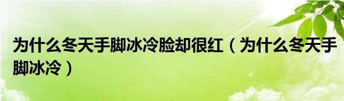 为什么冬天手脚冰冷脸却很红（为什么冬天手脚冰冷）