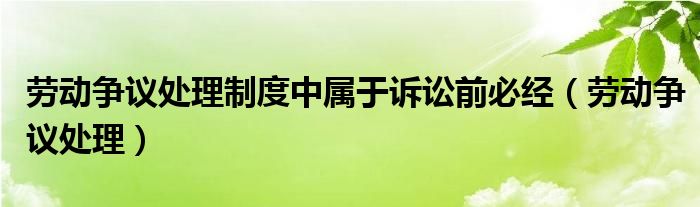 劳动争议处理制度中属于诉讼前必经（劳动争议处理）