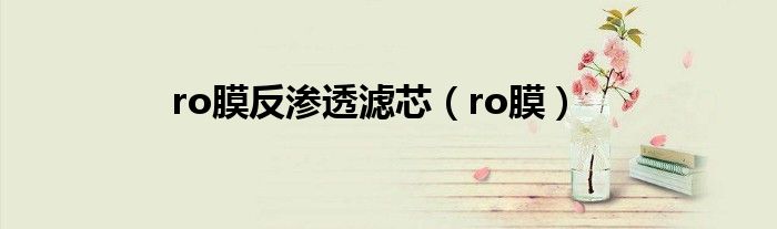 ro膜反渗透滤芯（ro膜）