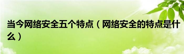 当今网络安全五个特点（网络安全的特点是什么）