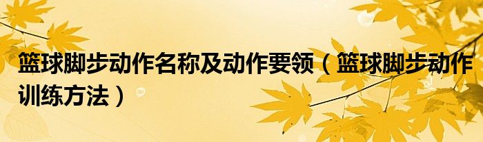 篮球脚步动作名称及动作要领（篮球脚步动作训练方法）