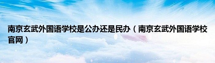 南京玄武外国语学校是公办还是民办（南京玄武外国语学校官网）