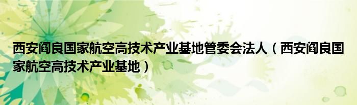 西安阎良国家航空高技术产业基地管委会法人（西安阎良国家航空高技术产业基地）