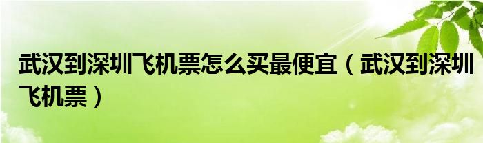 武汉到深圳飞机票怎么买最便宜（武汉到深圳飞机票）