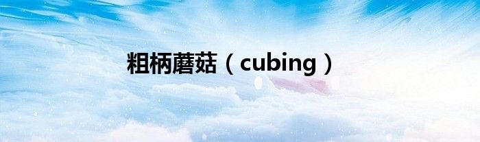 粗柄蘑菇（cubing）