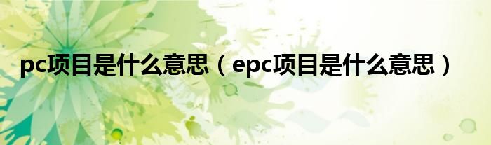 pc项目是什么意思（epc项目是什么意思）