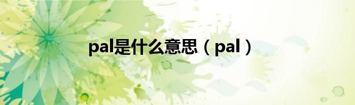 pal是什么意思（pal）