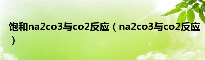 饱和na2co3与co2反应（na2co3与co2反应）