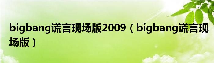 bigbang谎言现场版2009（bigbang谎言现场版）