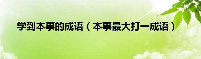 学到本事的成语（本事最大打一成语）