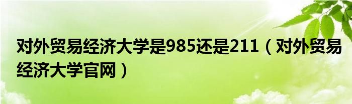 对外贸易经济大学是985还是211（对外贸易经济大学官网）