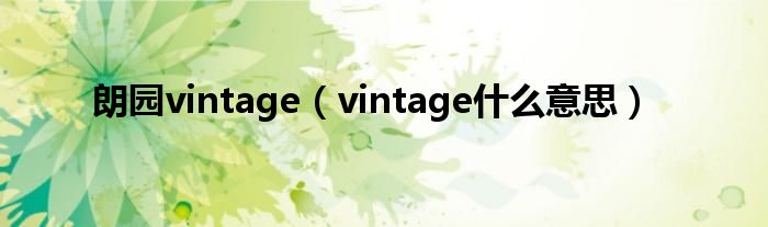 朗园vintage（vintage什么意思）