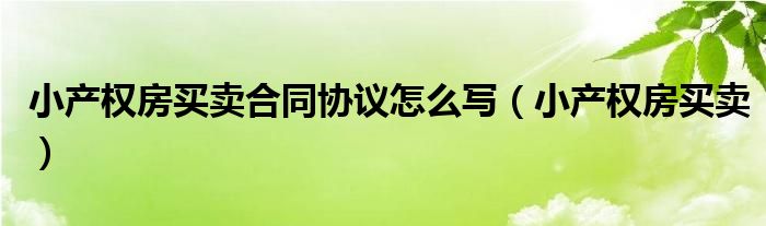 小产权房买卖合同协议怎么写（小产权房买卖）