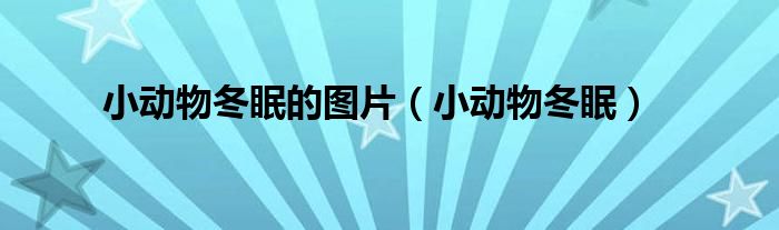 小动物冬眠的图片（小动物冬眠）