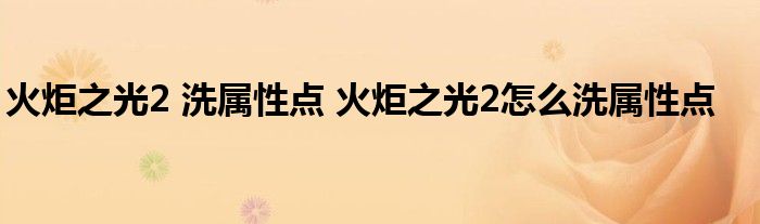 火炬之光2 洗属性点 火炬之光2怎么洗属性点