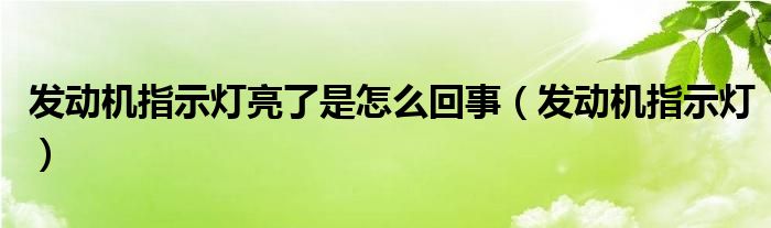 发动机指示灯亮了是怎么回事（发动机指示灯）