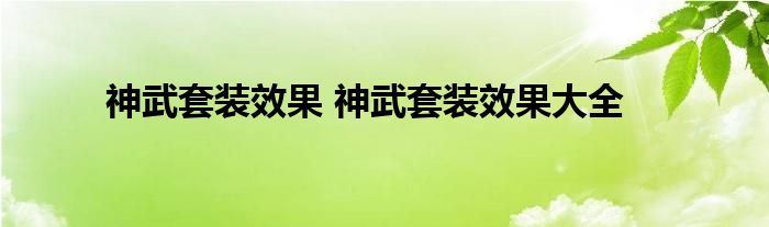 神武套装效果 神武套装效果大全