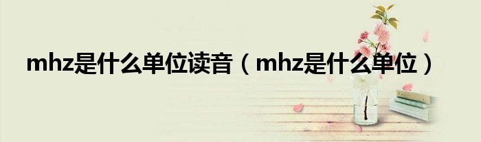 mhz是什么单位读音（mhz是什么单位）