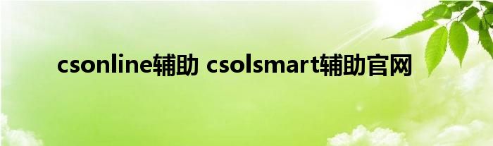 csonline辅助 csolsmart辅助官网