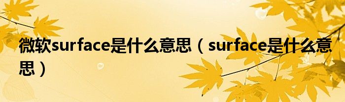 微软surface是什么意思（surface是什么意思）