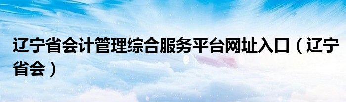 辽宁省会计管理综合服务平台网址入口（辽宁省会）