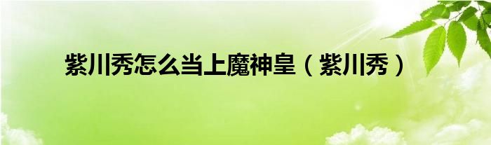 紫川秀怎么当上魔神皇（紫川秀）