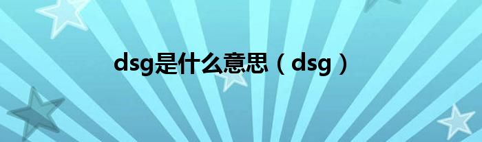 dsg是什么意思（dsg）