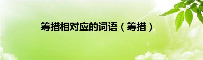 筹措相对应的词语（筹措）