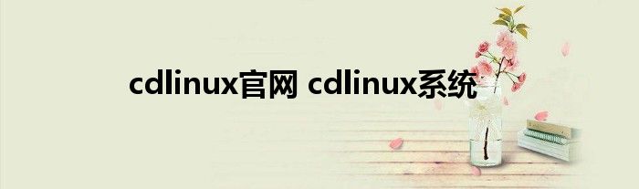 cdlinux官网 cdlinux系统