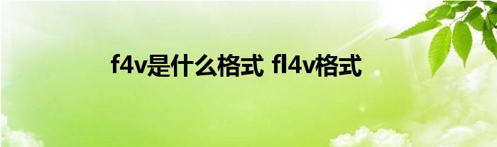 f4v是什么格式 fl4v格式