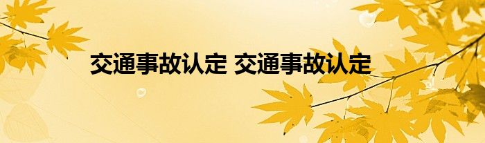 交通事故认定 交通事故认定